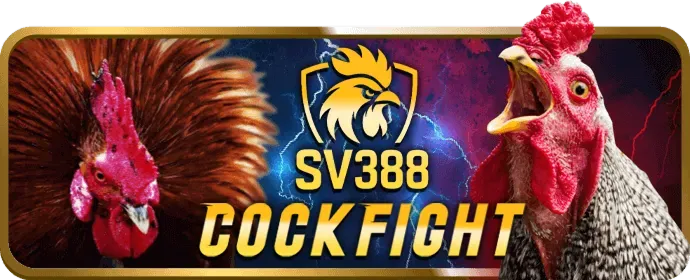 Dịch vụ hỗ trợ ưu tiên 24/7